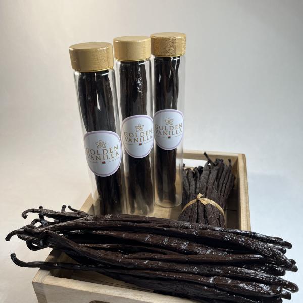 Vanille Bourbon Golden