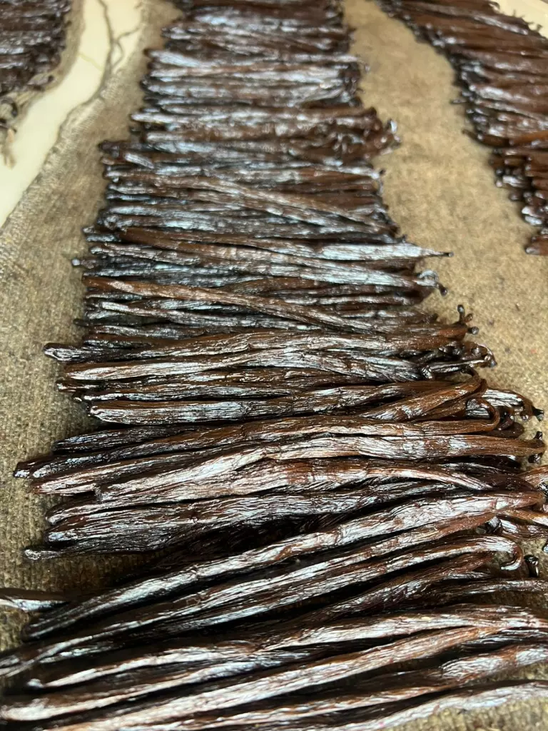 bdf4d378-5213-4fcc-b656-fb787c140fab